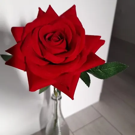 Near The Апартаменты *