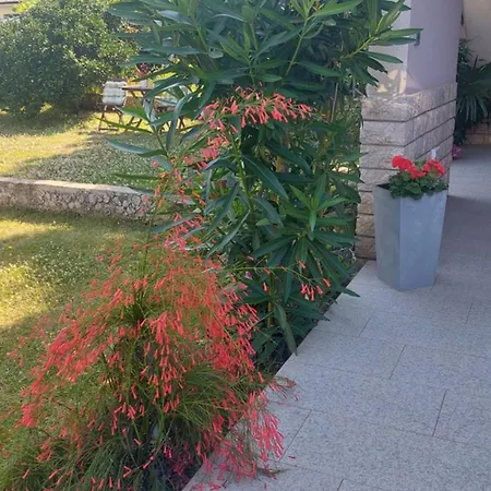 Near The Διαμέρισμα