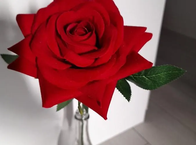 Near The Διαμέρισμα *