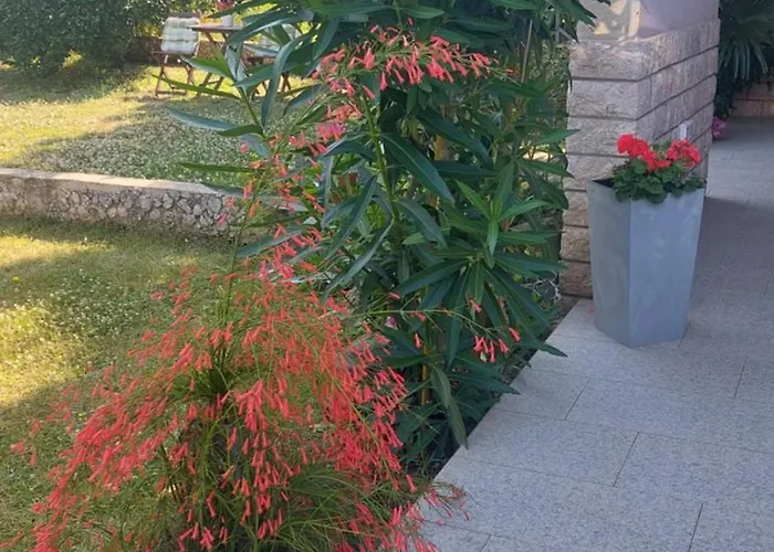 Near The Apartament