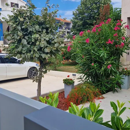 Near The Appartement *